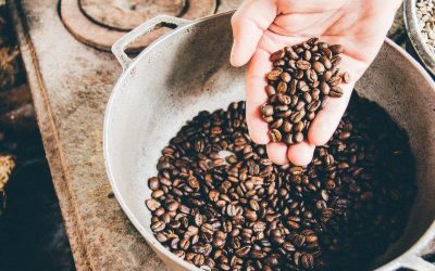 WHAT IS FAIR TRADE COFFEE?