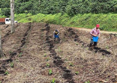 La Cristalina Blend | Sabores - Flavours of Colombia