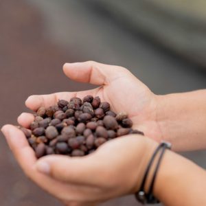 Ombligon Natural | Sabores - Flavours of Colombia