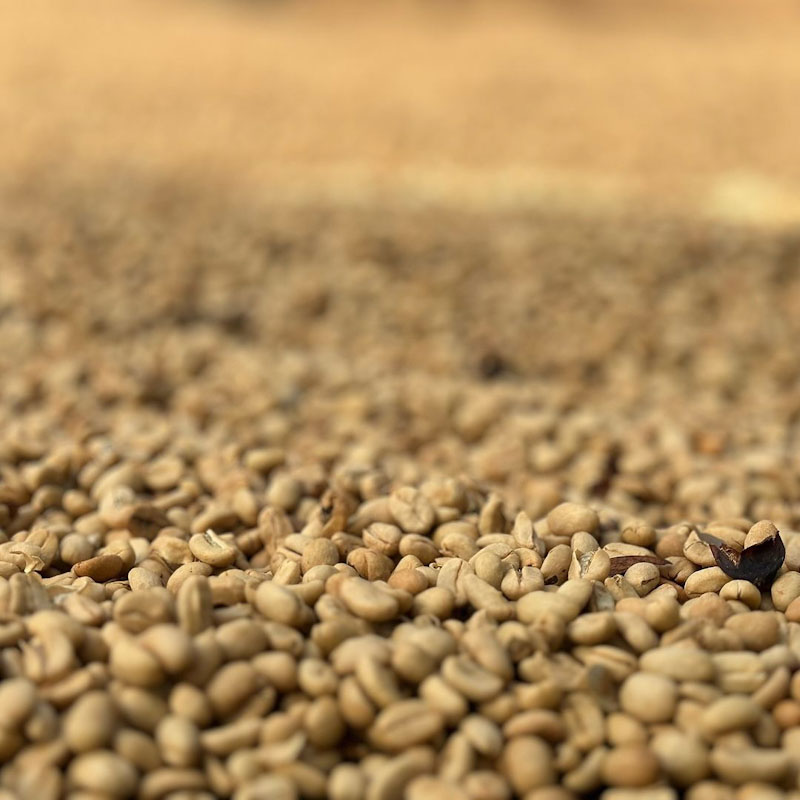 Pink Bourbon Washed | Sabores - Flavours of Colombia