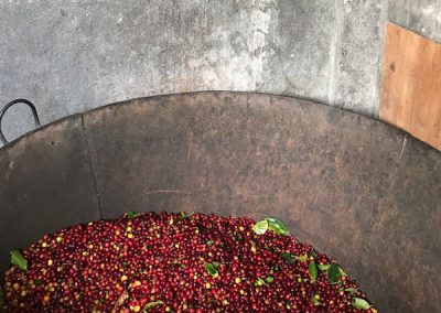 Caturra Washed Aponte | Sabores - Flavours of Colombia